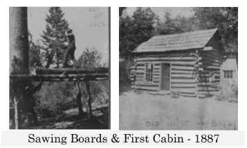 Saw&Cabin.jpg (78895 bytes)