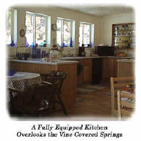 kitchen.jpg (62157 bytes)