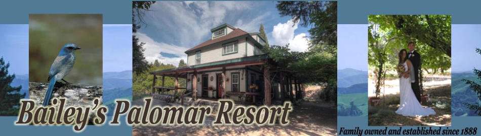 Bailey's Palomar Resort in Palomar Mountain, California
