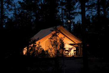 Group Camping at Night