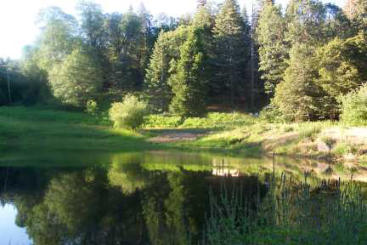 Group Camping - The Meadow & Pond