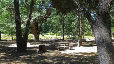 Group Camping - Picnic Table