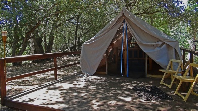 Experience Southern California Glamping or luxury camping at Palomar Mountain.